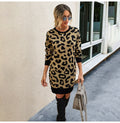 Sweater Dress Autumn Winter Long Sleeve Women Fashion Vintage Leopard Print Warm Knitted Clothes Ladies Dresses New Arrival - SunLify